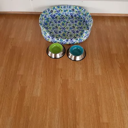 Lourenco House * Повуа-ди-Варзин