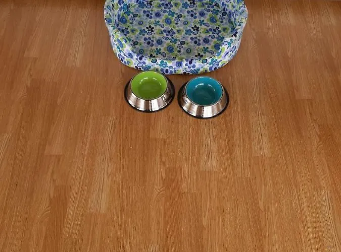 Lourenco House * Póvoa de Varzim